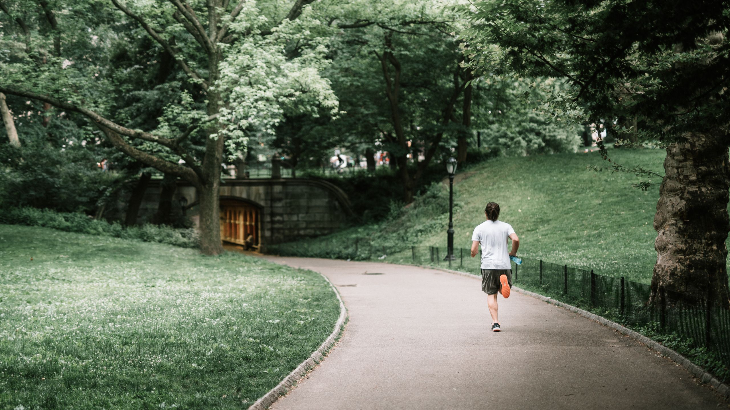 A man jogging along a tree-lined path in Central Park, New York City, enjoying a summer day.